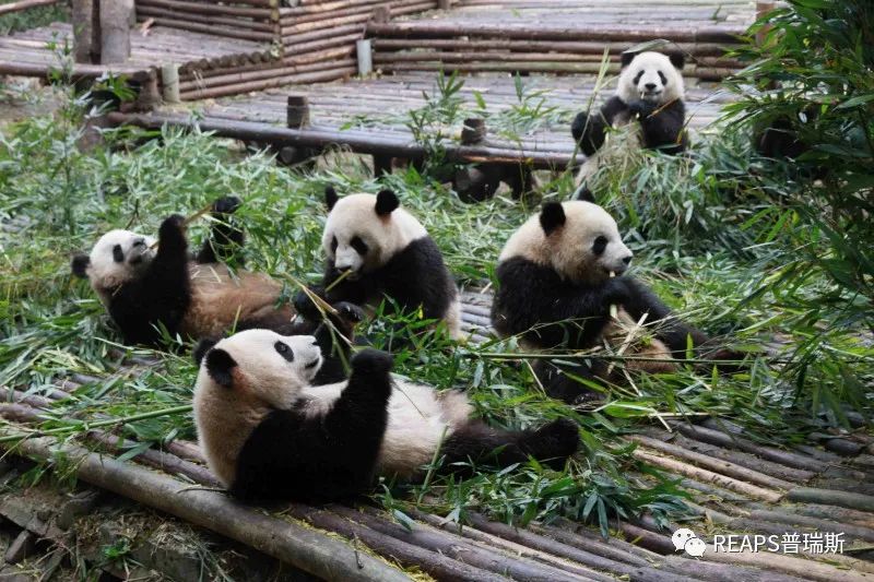 1681466427415394.jpg 1681466427415394.jpg