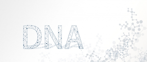 藻油DHA怎样人体吸收更高?