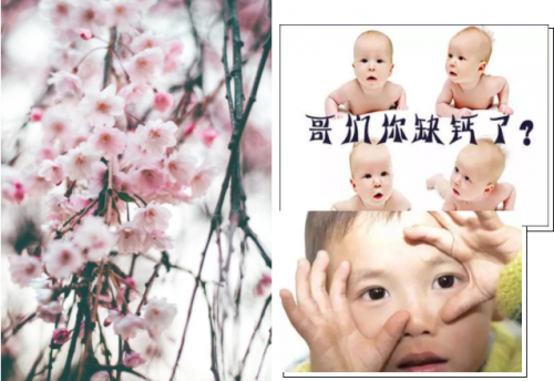 10秒读懂，AD和D3的区别