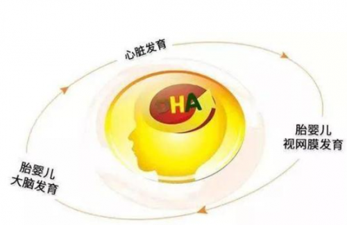 营养补充好让宝宝更加聪明